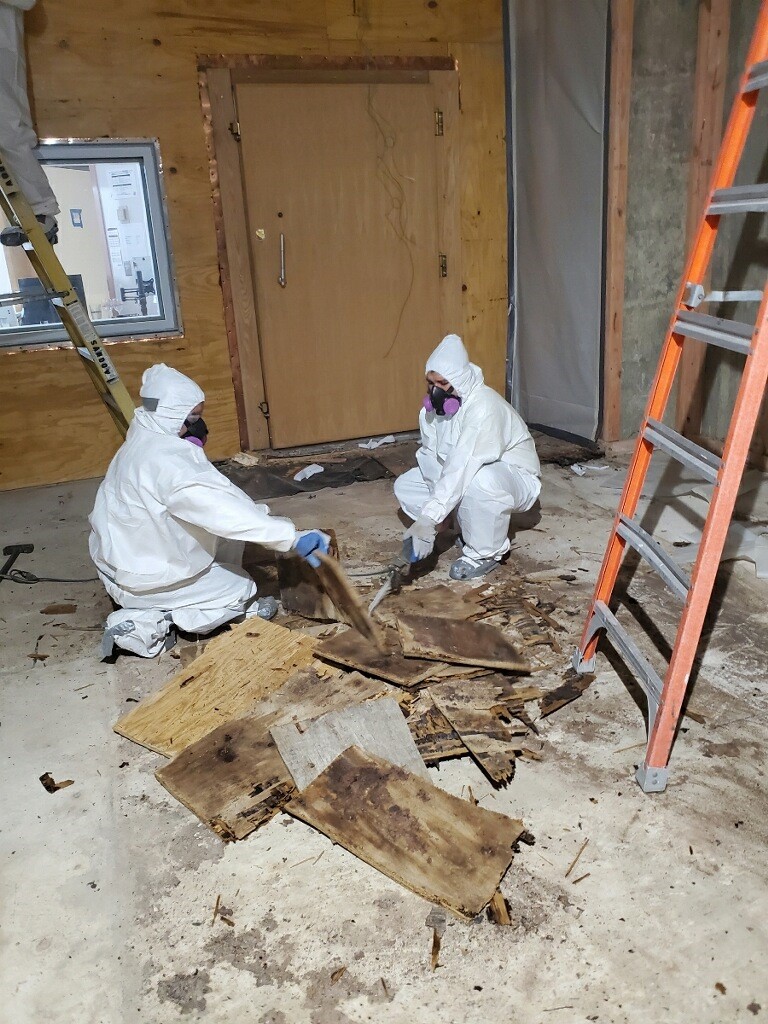 Cleaners cleaning up pieces of wood.